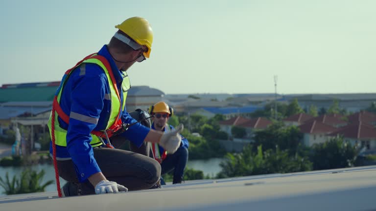 Best Chimney Flashing Repair  in Sultana, CA