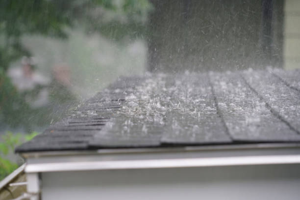 Best Roof Maintenance and Cleaning  in Sultana, CA